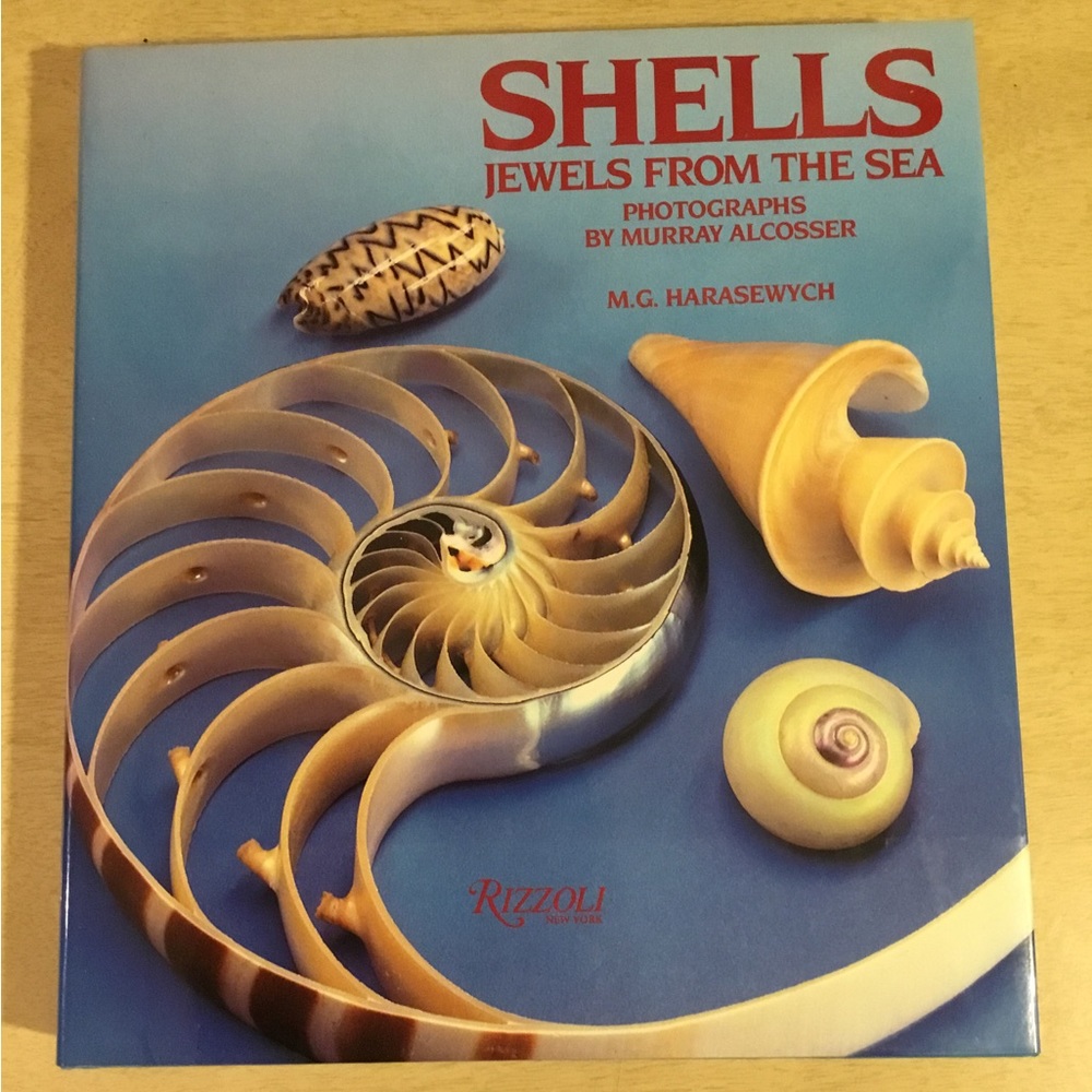VTG Book On SEASHELLS